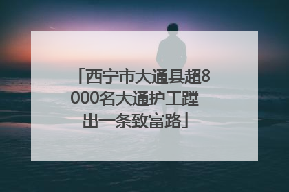 西宁市大通县超8000名大通护工蹚出一条致富路