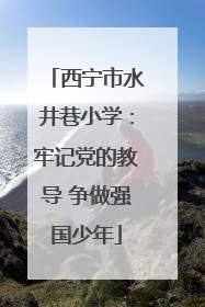 西宁市水井巷小学：牢记党的教导 争做强国少年