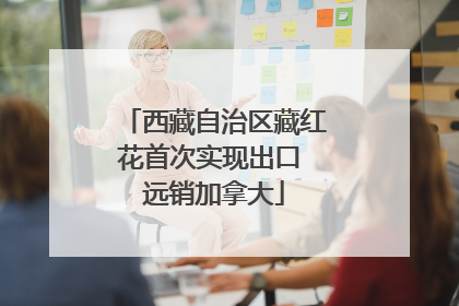 西藏自治区藏红花首次实现出口 远销加拿大