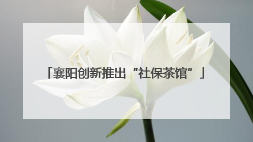 襄阳创新推出“社保茶馆”