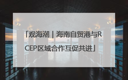 观海潮｜海南自贸港与RCEP区域合作互促共进