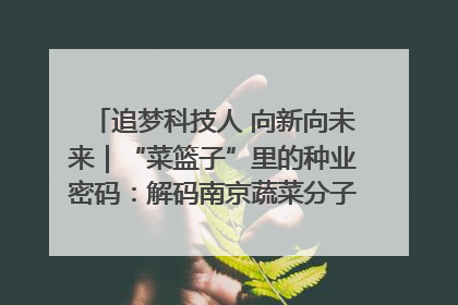 追梦科技人 向新向未来｜“菜篮子”里的种业密码：解码南京蔬菜分子育种的创新之路