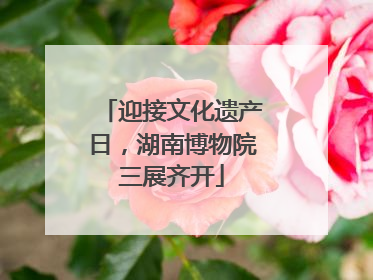 迎接文化遗产日，湖南博物院三展齐开