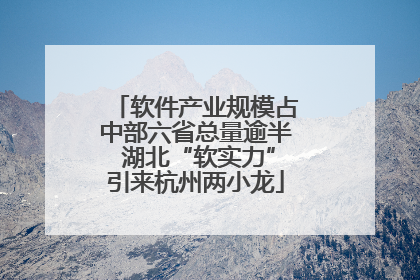 软件产业规模占中部六省总量逾半 湖北“软实力”引来杭州两小龙