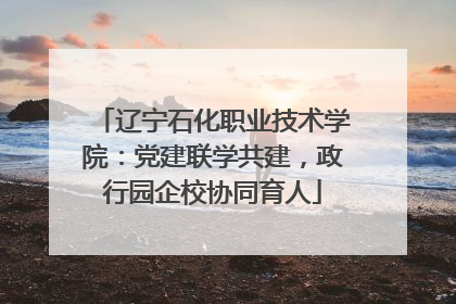 辽宁石化职业技术学院：党建联学共建，政行园企校协同育人