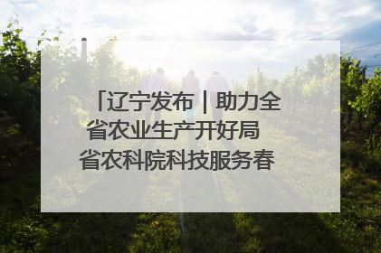辽宁发布｜助力全省农业生产开好局 省农科院科技服务春耕备耕成效显著
