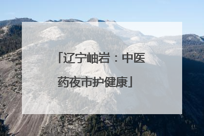 辽宁岫岩：中医药夜市护健康