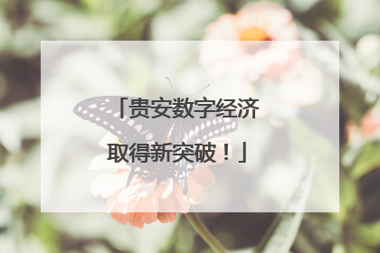贵安数字经济取得新突破！