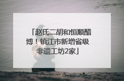 赵氏二胡和恒顺醋博！镇江市新增省级非遗工坊2家