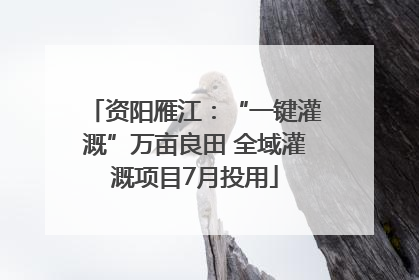 资阳雁江：“一键灌溉”万亩良田 全域灌溉项目7月投用