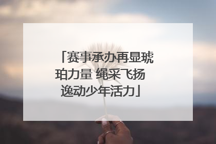 赛事承办再显琥珀力量 绳采飞扬逸动少年活力