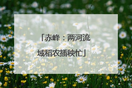 赤峰：两河流域稻农插秧忙