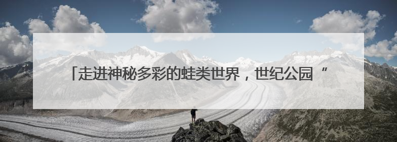 走进神秘多彩的蛙类世界，世纪公园“蛙蛙奇妙夜”开启招募，暑假共18场
