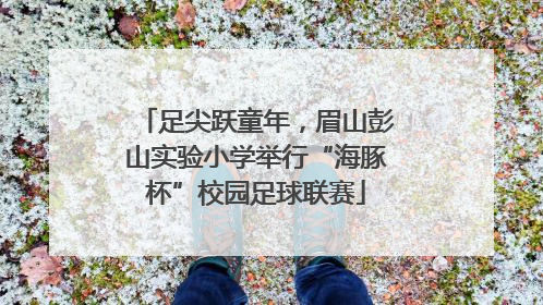 足尖跃童年，眉山彭山实验小学举行“海豚杯”校园足球联赛