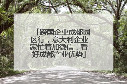 跨国企业成都园区行，意大利企业家忙着加微信，看好成都产业优势