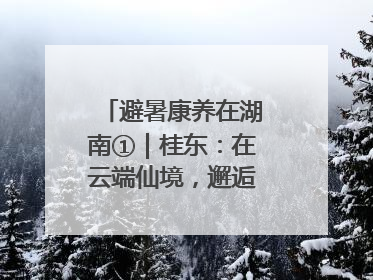 避暑康养在湖南①｜桂东：在云端仙境，邂逅一场清凉之约