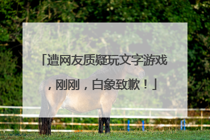 遭网友质疑玩文字游戏，刚刚，白象致歉！