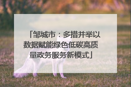 邹城市：多措并举以数据赋能绿色低碳高质量政务服务新模式