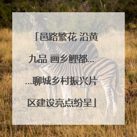 邑路繁花 沿黄九品 画乡鲤都……聊城乡村振兴片区建设亮点纷呈