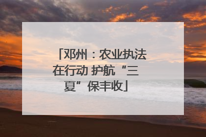 邓州：农业执法在行动 护航“三夏”保丰收