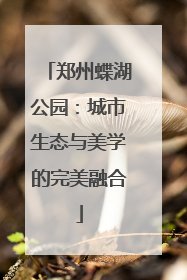 郑州蝶湖公园：城市生态与美学的完美融合