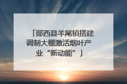 郧西县羊尾镇搭建调制大棚激活烟叶产业“新动能”