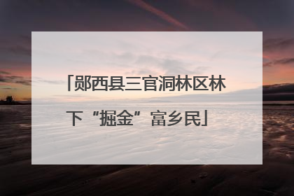 郧西县三官洞林区林下“掘金”富乡民