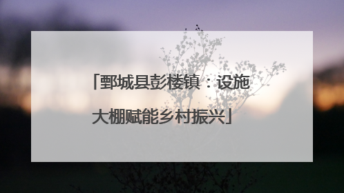 鄄城县彭楼镇：设施大棚赋能乡村振兴