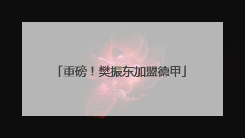 重磅！樊振东加盟德甲