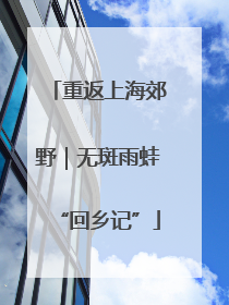 重返上海郊野｜无斑雨蛙“回乡记”