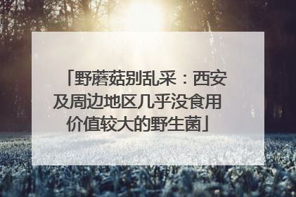 野蘑菇别乱采：西安及周边地区几乎没食用价值较大的野生菌