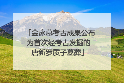 金泳墓考古成果公布 为首次经考古发掘的唐新罗质子墓葬