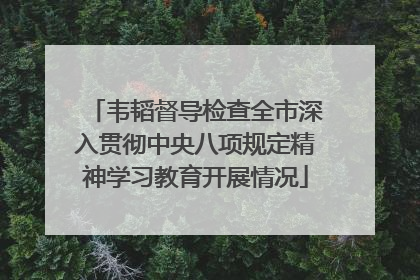 韦韬督导检查全市深入贯彻中央八项规定精神学习教育开展情况