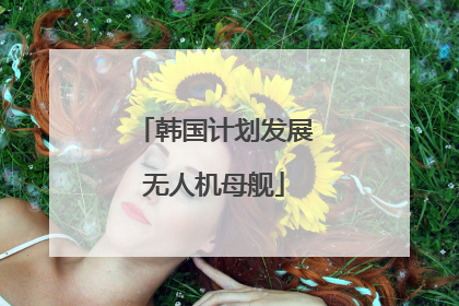 韩国计划发展无人机母舰