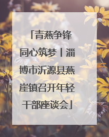 青燕争锋 同心筑梦丨淄博市沂源县燕崖镇召开年轻干部座谈会