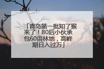 青岛第一批知了猴来了！80后小伙承包60亩林地，高峰期日入过万