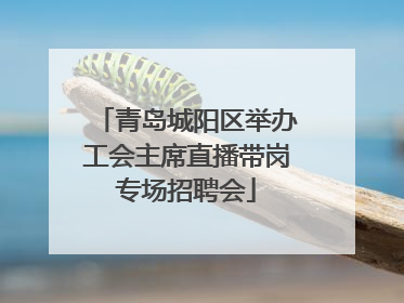 青岛城阳区举办工会主席直播带岗专场招聘会