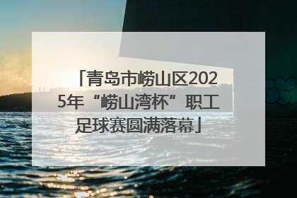 青岛市崂山区2025年“崂山湾杯”职工足球赛圆满落幕