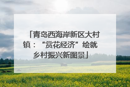 青岛西海岸新区大村镇：“赏花经济”绘就乡村振兴新图景