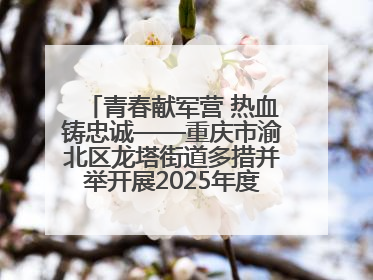 青春献军营 热血铸忠诚——重庆市渝北区龙塔街道多措并举开展2025年度征兵宣传活动