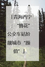 青海西宁：“簪花”公交车站扮靓城市“颜值”
