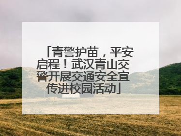 青警护苗，平安启程！武汉青山交警开展交通安全宣传进校园活动