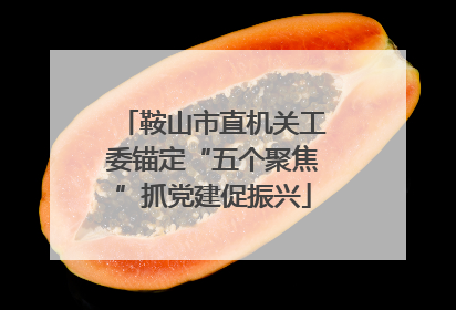 鞍山市直机关工委锚定“五个聚焦”抓党建促振兴