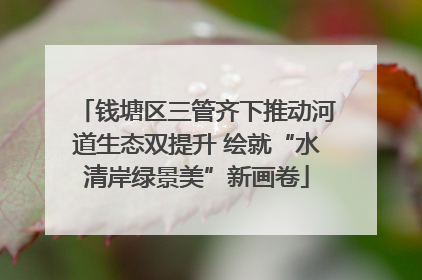 钱塘区三管齐下推动河道生态双提升 绘就“水清岸绿景美”新画卷