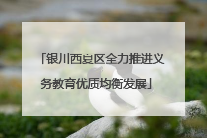 银川西夏区全力推进义务教育优质均衡发展