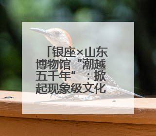 银座×山东博物馆“潮越五千年”：掀起现象级文化消费潮