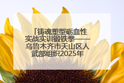 铸魂塑型砺血性 实战实训锻铁拳——乌鲁木齐市天山区人武部组织2025年度民兵集中轮训