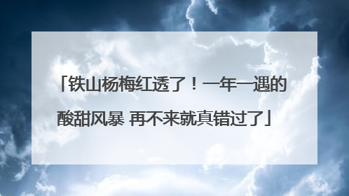 铁山杨梅红透了！一年一遇的酸甜风暴 再不来就真错过了