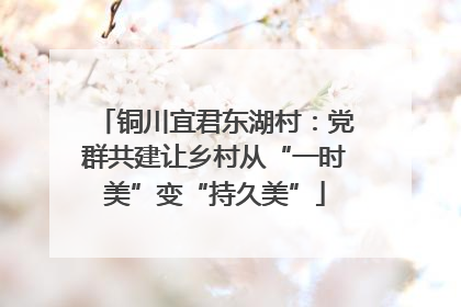 铜川宜君东湖村：党群共建让乡村从“一时美”变“持久美”