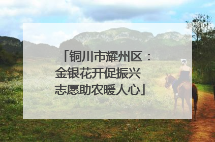铜川市耀州区：金银花开促振兴 志愿助农暖人心